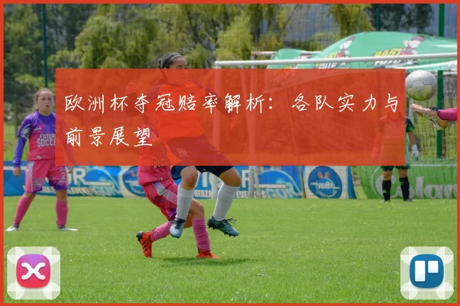 欧洲杯夺冠赔率解析：各队实力与前景展望